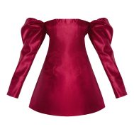 015d5b91fc8954b549d6160daf3a427be355f7f1_CNM0113_5_wine_oversized_puff_sleeve_a_line_shift_dress-1
