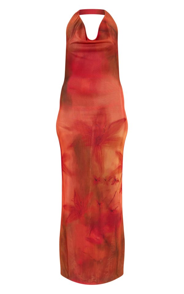 0493ce57af37b5c7d70d3b7e6554d424aee4b8ff_CNN3481_5_red_floral_print_halter_neck_plunge_maxi_dress
