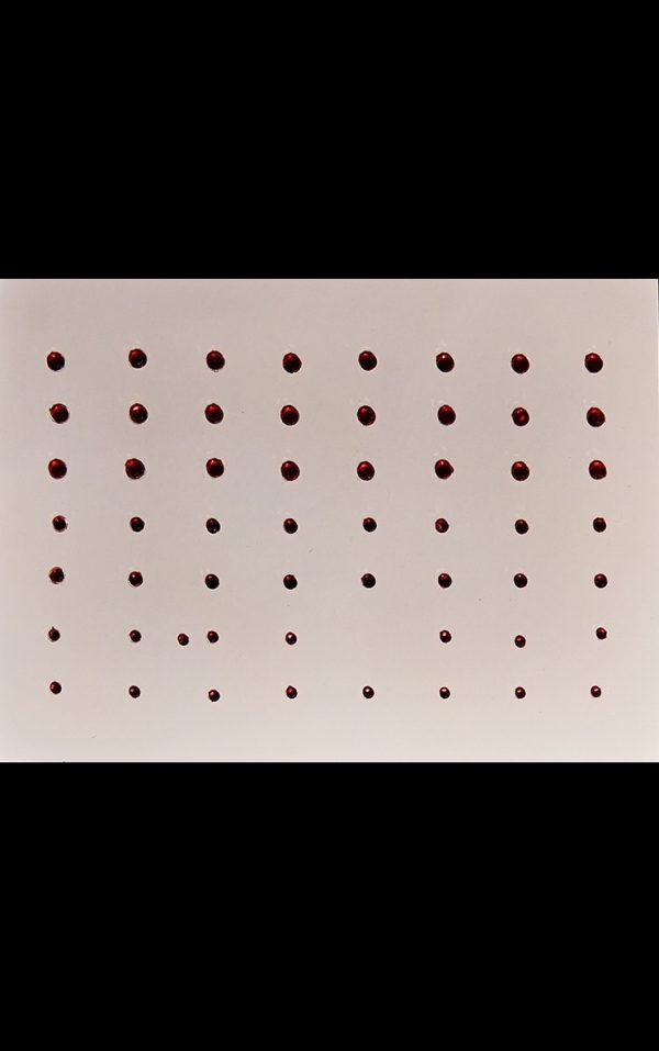 05f863bee9d1d73b201fc092de701062fa261f28_cnk6687_3
