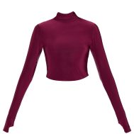 0a02c1d66f7f14525175fea4ca4539d8305ccf83_CNM1401_5_plum_slinky_high_neck_thumb_detail_long_sleeve_top