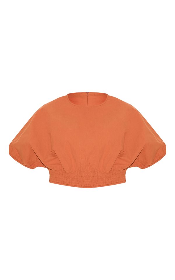 0e5cbf37ee900371a055dd750fdfbb95920304bd_CNM3422_5_plus_burnt_orange_sheered_waist_cap_sleeve_crop_top