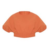 0e5cbf37ee900371a055dd750fdfbb95920304bd_CNM3422_5_plus_burnt_orange_sheered_waist_cap_sleeve_crop_top