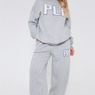 1a6fc7717aeaf1de982eac50159020a9408d3747_CNF8396_3_prettylittlething_ash_grey_borg_applique_oversized_sweatshirt