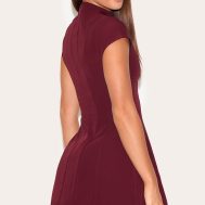 1b2863ea99055bfd8b744badac71818af5913030_CNL9405_2_tall_wine_high_neck_cinched_mini_dress