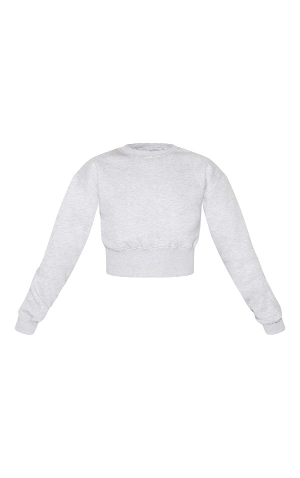 1b806fde22933b9a1bfc378136535304e3d76abf_CNF3841_5_tall_ash_grey_cropped_sweatshirt