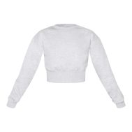 1b806fde22933b9a1bfc378136535304e3d76abf_CNF3841_5_tall_ash_grey_cropped_sweatshirt