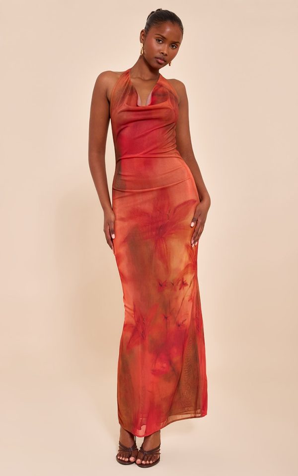 1cccca784e30015d33073216b4e2157609a23164_CNN3481_1_red_floral_print_halter_neck_plunge_maxi_dress
