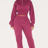 1edb80a82b013b384dc91f356ab5c9938965fd26_CNM0090_3_shape_burgundy_half_zip_cropped_sweatshirt