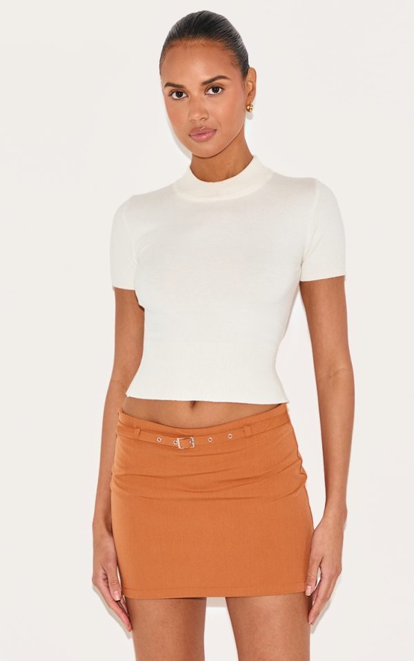 1fe616a0837f6feb91aeea63cd6e39a3425b46c6_CNL9125_4_rust_black_thin_belt_detail_tailored_mini_skirt