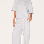 2109b2dec1f05378276fbabc147bdceac6fc9bd6_CNJ5144_3_prettylittlething_ash_grey_badge_detail_oversized_short_sleeve_sweatshirt-1
