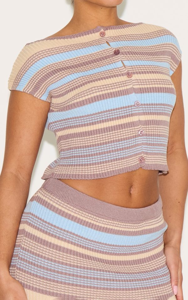 2322ce530df96ca8bb8b36d179e7f65c7f997286_CNM8080_4_shape_powder_blue_knitted_stripped_button_front_boat_neck_top