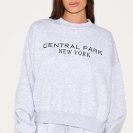 2748aaaff6fd3c08068f732ab63fd55584006484_CNL9643_1_ash_grey_central_park_embroidered_boxy_sweat