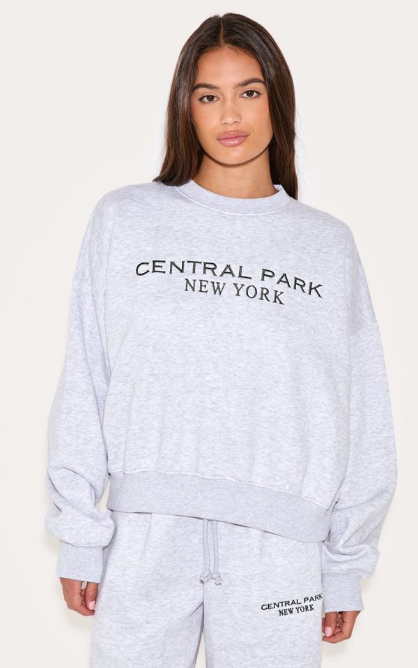 2748aaaff6fd3c08068f732ab63fd55584006484_CNL9643_1_ash_grey_central_park_embroidered_boxy_sweat