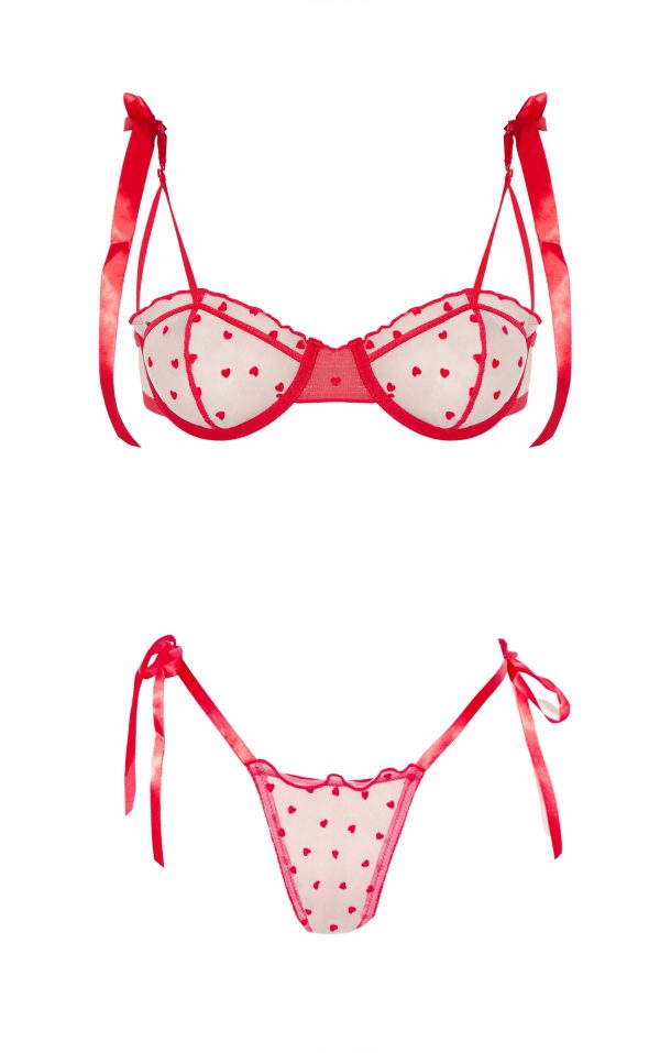 2b4533328f11dbafce5b4d3cf3905f93abd9879e_CNL1394_5_red_mesh_flock_heart_underwired_lingerie_set