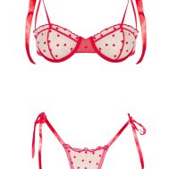 2b4533328f11dbafce5b4d3cf3905f93abd9879e_CNL1394_5_red_mesh_flock_heart_underwired_lingerie_set