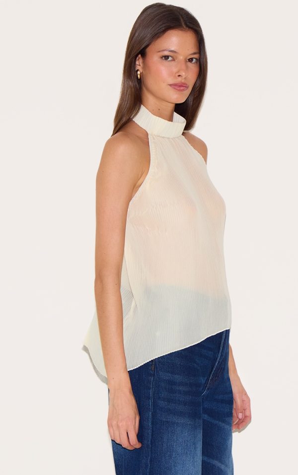 32dc63da9505a610ad0a3ab920ab9013e628c032_CNL9978_4_lemon_plisse_chiffon_high_neck_long_top