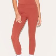 3ae82f06cb64e1038a78ec147b1635cec2a9d770_CNM4837_2_petite_paprika_sculpt_high_waist_gym_leggings-1