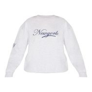 3ba1fa7ea75485795549935287fbaf76fb14a10c_CNL9634_5_ash_grey_new_york_embroidered_boxy_sweat