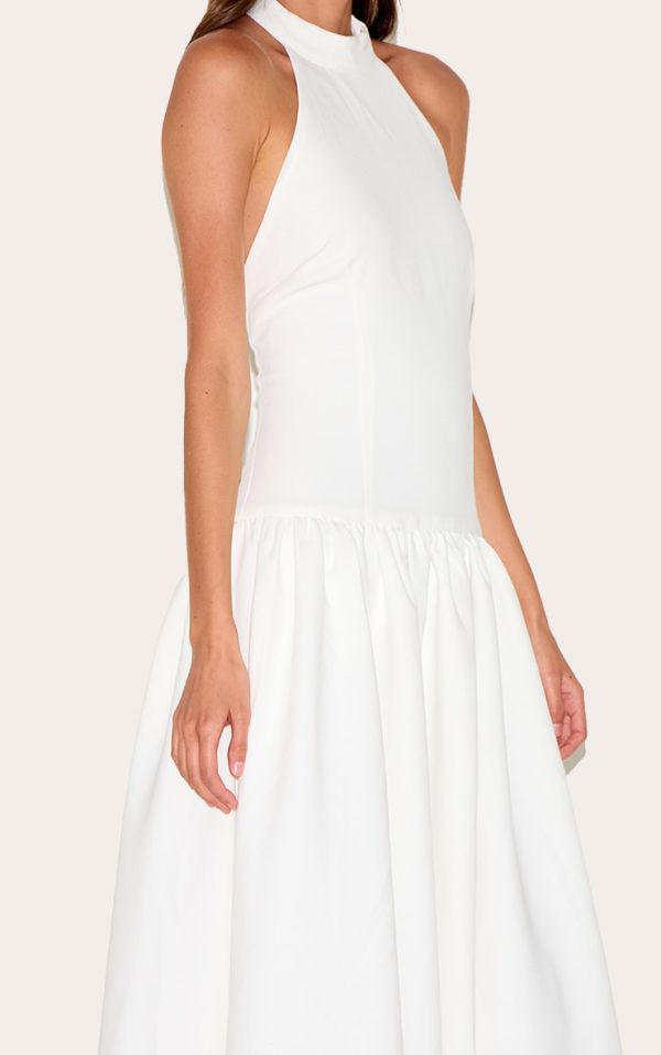 41460f1b85a18e5ed4e6271a8033e41ebbd0dc90_CNM7937_4_white_tailored_high_neck_midaxi_dress