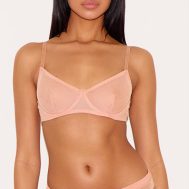 467a6b5b3aef3f55aa494e8a25ead36186c0299e_CNL8518_4_nude_mesh_brief