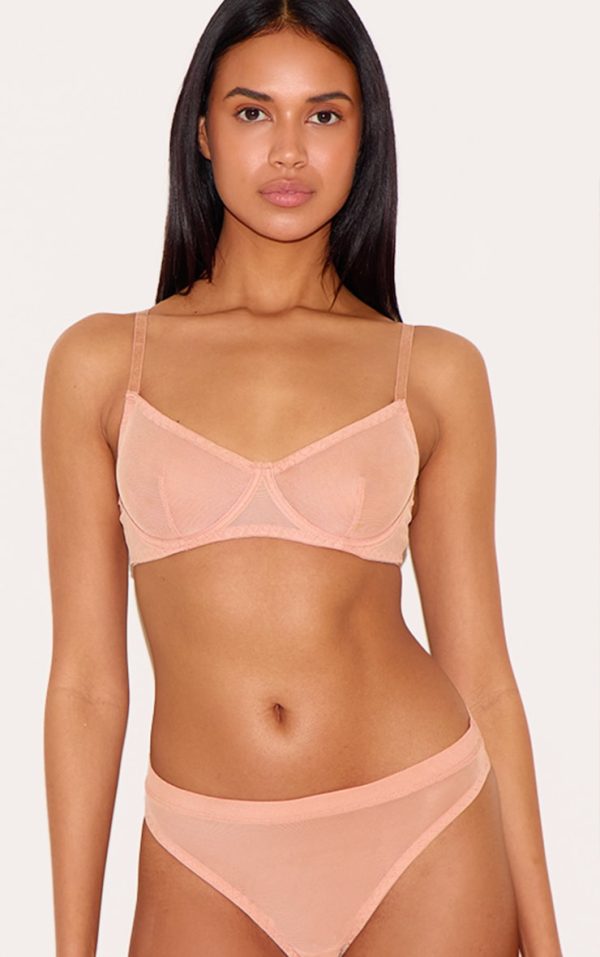 467a6b5b3aef3f55aa494e8a25ead36186c0299e_CNL8518_4_nude_mesh_brief