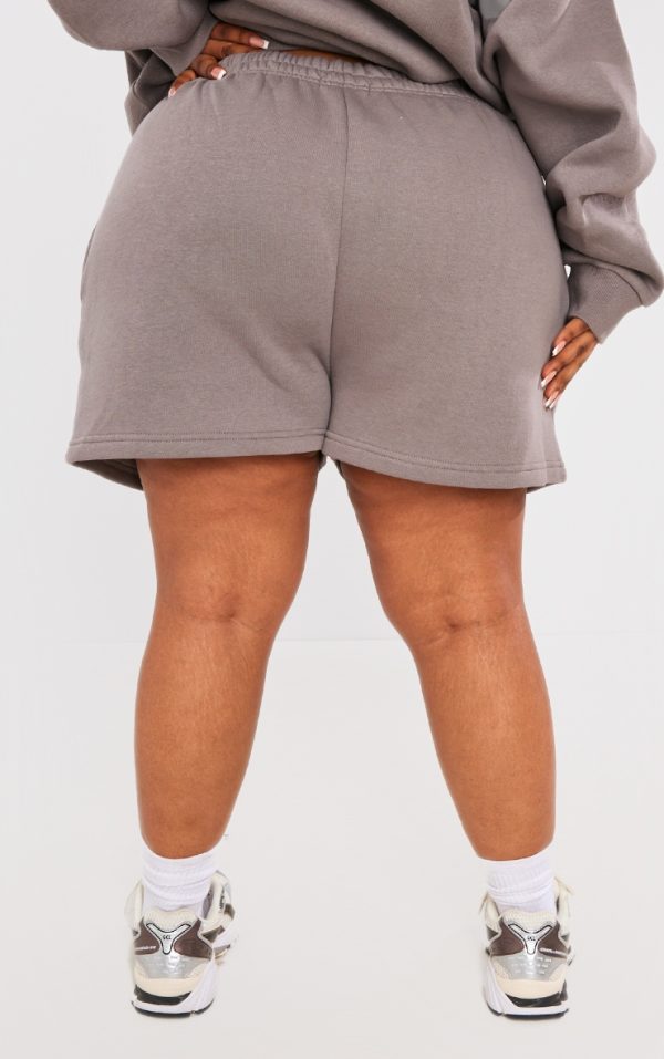 4d5a082ef103c8f5f41d0243d275dffc6eb5d4cb_CNI4892_3_prettylittlething_plus_charcoal_logo_oversized_sweat_shorts