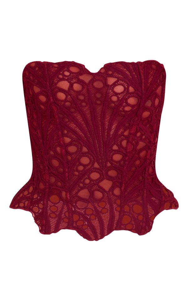 4ddb396e0b3a8943905c0df993faecc9fd8ca90d_CNM9057_5_wine_textured_sheer_floral_lace_corset