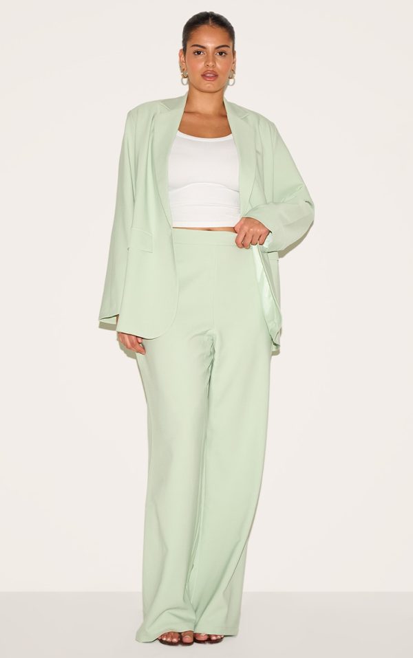 4ea4aa65d714437f3d2dbf9826be564a4599e616_CNM6267_1_plus_sage_tailored_wide_leg_trouser