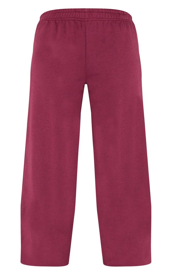 4eed39519e2e672849f8ec51d654d7a3519da20f_CNM1850_5_petite_burgundy_straight_leg_joggers