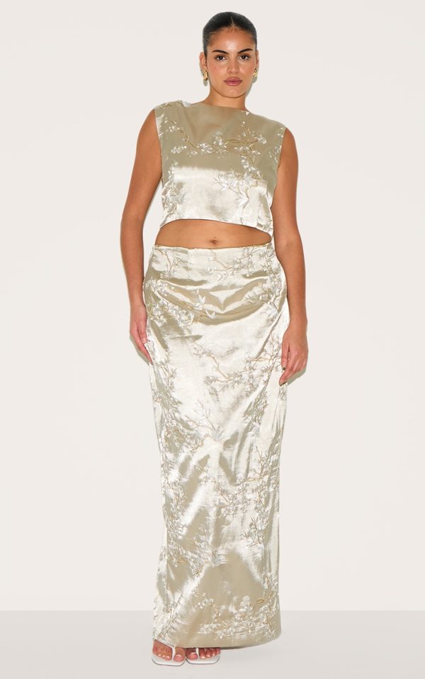 504ba96afe9acd2cc36e83eaa0db21024d8c04bf_CNM2476_1_plus_pastel_green_floral_embroidered_maxi_skirt
