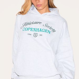 Ash Grey Premium New York Embroidered Hoodie