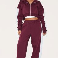 5dd514da943f461cdcc51fd2738fa324ad490b44_CNL9145_3_petite_burgundy_stripe_detail_zip_up_hoodie