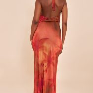 603bcb1e460807589b2077a31e6456cb5f2c79ef_CNN3481_2_red_floral_print_halter_neck_plunge_maxi_dress