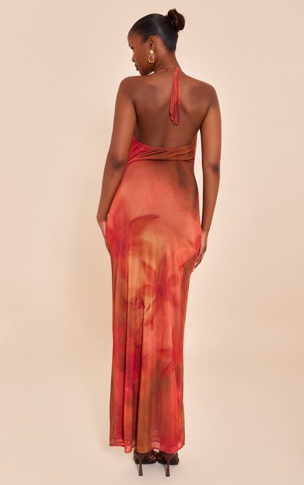 603bcb1e460807589b2077a31e6456cb5f2c79ef_CNN3481_2_red_floral_print_halter_neck_plunge_maxi_dress