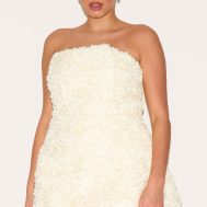 69d87be9e36e7c0b2218f14157a09568e5d35104_CNM2034_1_plus_cream_floral_textured_bandeau_mini_dress