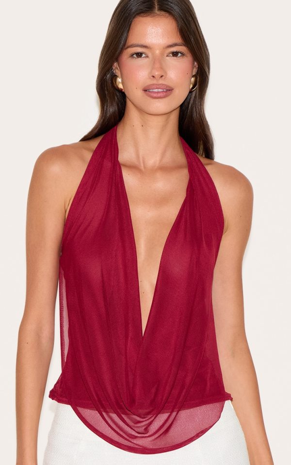 746e42970b43381b2f98508a37538ef51c731f40_CNN0903_1_deep_red_mesh_halter_neck_top