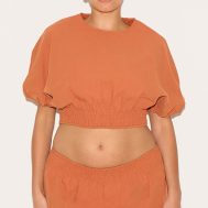 7c2faa61db09bee49d5776ee579187c69e083c66_CNM3422_1_plus_burnt_orange_sheered_waist_cap_sleeve_crop_top