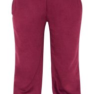 7ff6704711acca00ead9696f79dc2d630895e3fd_CNM1972_5_shape_burgundy_v_waist_pin_tuck_cuffed_joggers