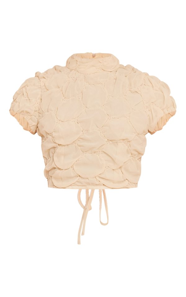 84f48f1e7baad758db8c927b1d2906dc8617575c_CNM7079_5_petite_almond_textured_open_back_top