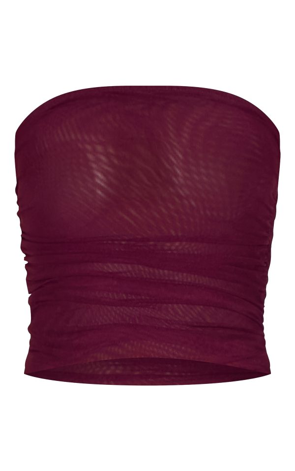 8b4794ca901ec2d3c909954a59c3c9cd1288739d_CNM8847_5_wine_mesh_bandeau_top