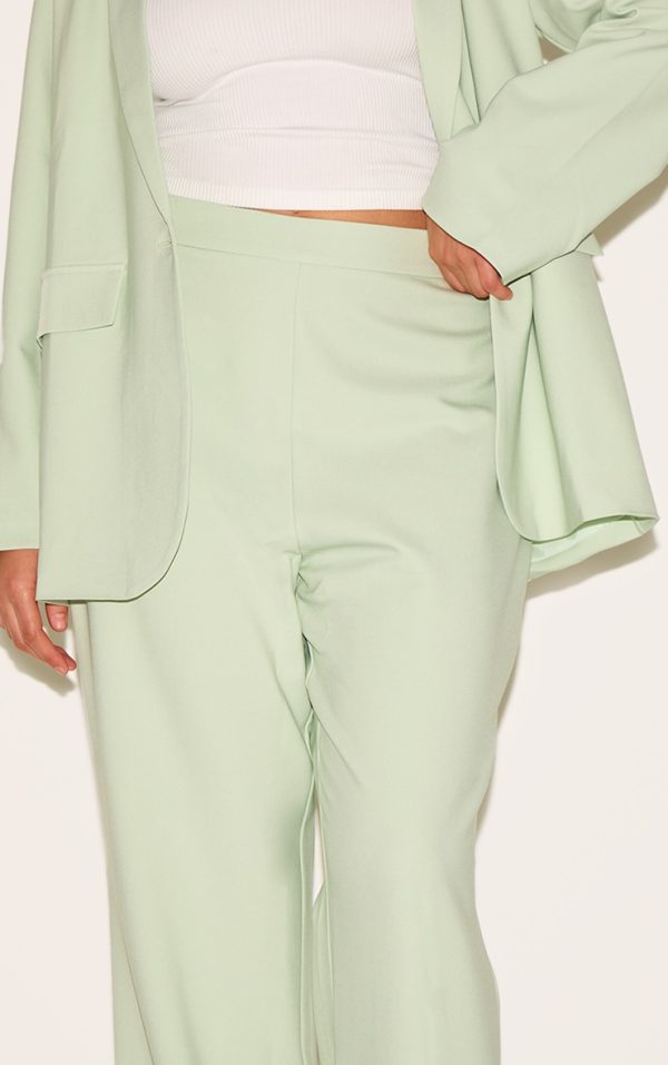8e0bdd1b3a1471be75f7101d78e7baf520703d1d_CNM6267_4_plus_sage_tailored_wide_leg_trouser