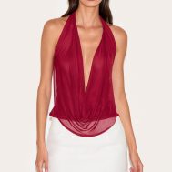9094fea2b8098db1749ed1e7cd210c8264ccf090_CNN0903_4_deep_red_mesh_halter_neck_top