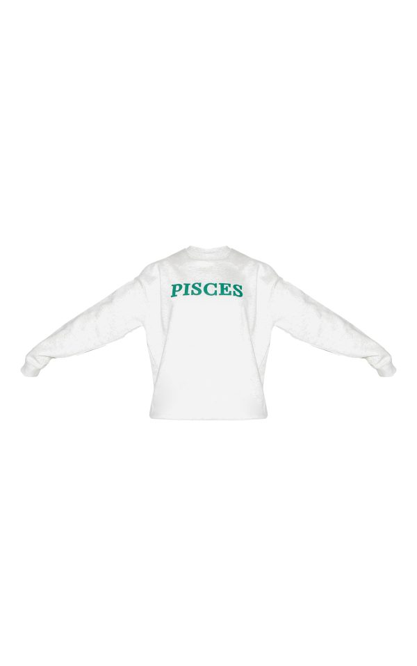 9433c82f143efc56637498f13b72fda276629a6a_CNL9672_5_ash_grey_pisces_printed_oversized_sweat
