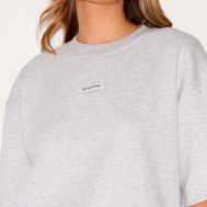 976103d20a72ea43506d37ee0d6330d1164f0dc2_CNJ5144_4_prettylittlething_ash_grey_badge_detail_oversized_short_sleeve_sweatshirt-1