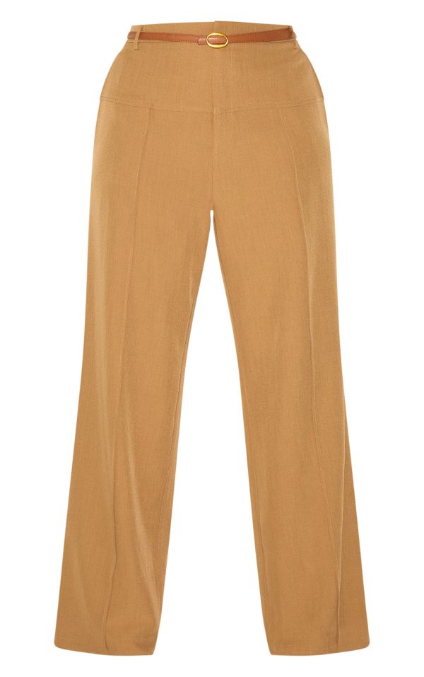 98ef75d95c732660e63af2e4eae05a5f6d9d94e0_CNM2500_5_plus_brown_tailored_thick_belted_waistband_detail_wide_leg_trousers