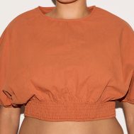 99a2229eb8b251c3e7086ecbbfbc566f1877a85a_CNM3422_4_plus_burnt_orange_sheered_waist_cap_sleeve_crop_top