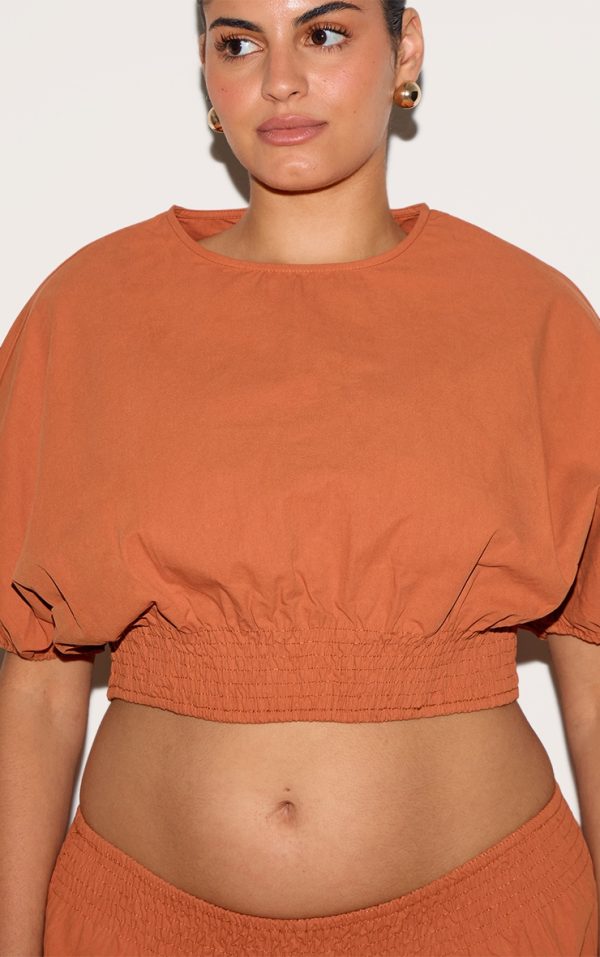 99a2229eb8b251c3e7086ecbbfbc566f1877a85a_CNM3422_4_plus_burnt_orange_sheered_waist_cap_sleeve_crop_top