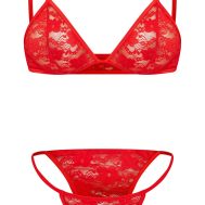 9e0331291109039d8dd8227bd1506519895f9b47_CMK5547_5_red_basic_lace_lingerie_set
