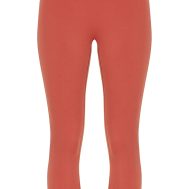 a143df388f7d5fb5af812183b0bbb069a554c739_CNM4837_5_petite_paprika_sculpt_high_waist_gym_leggings-1
