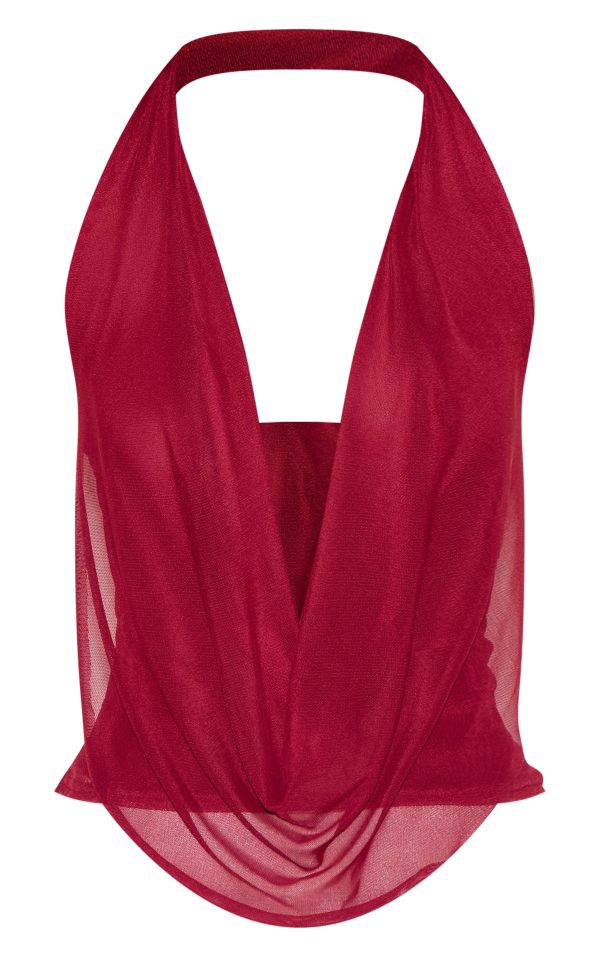 a86f387cb189840d7f7be1361b4c6e6b375ec7a2_CNN0903_5_deep_red_mesh_halter_neck_top